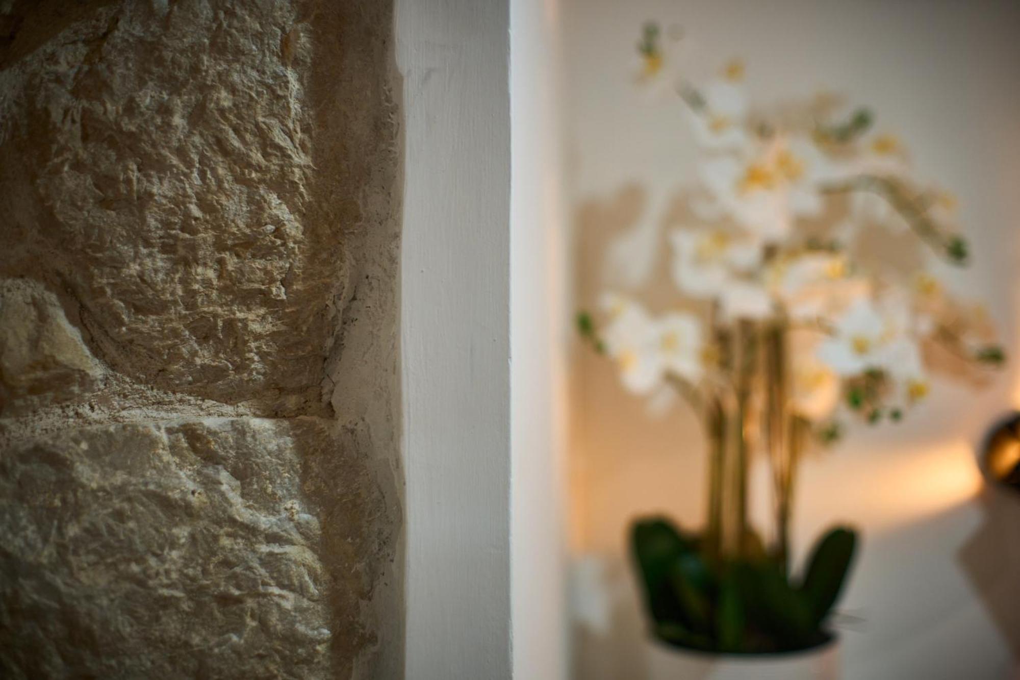 Bernard Deluxe Renovated Peaceful Old Town Gem Apartment สปลิท ภายนอก รูปภาพ